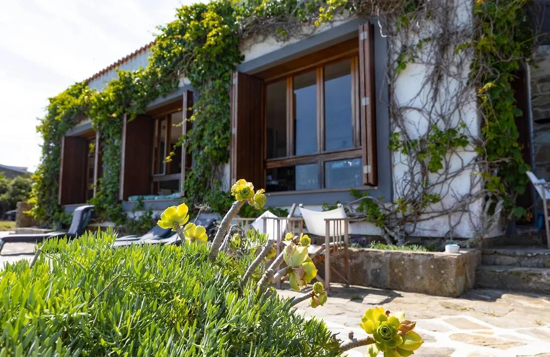 Villa Curiazzi Guesthouse Viale la Pelosa 16-1